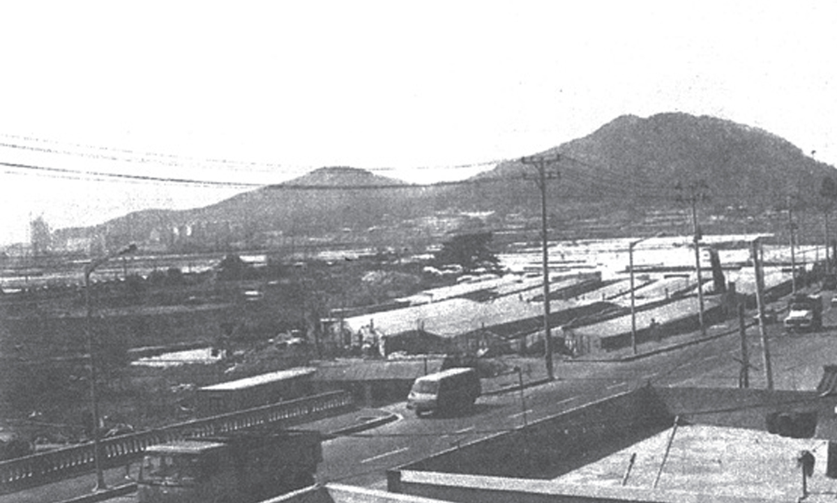 1970년대 석대화훼단지