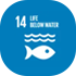14.LIFE BELOW WATER